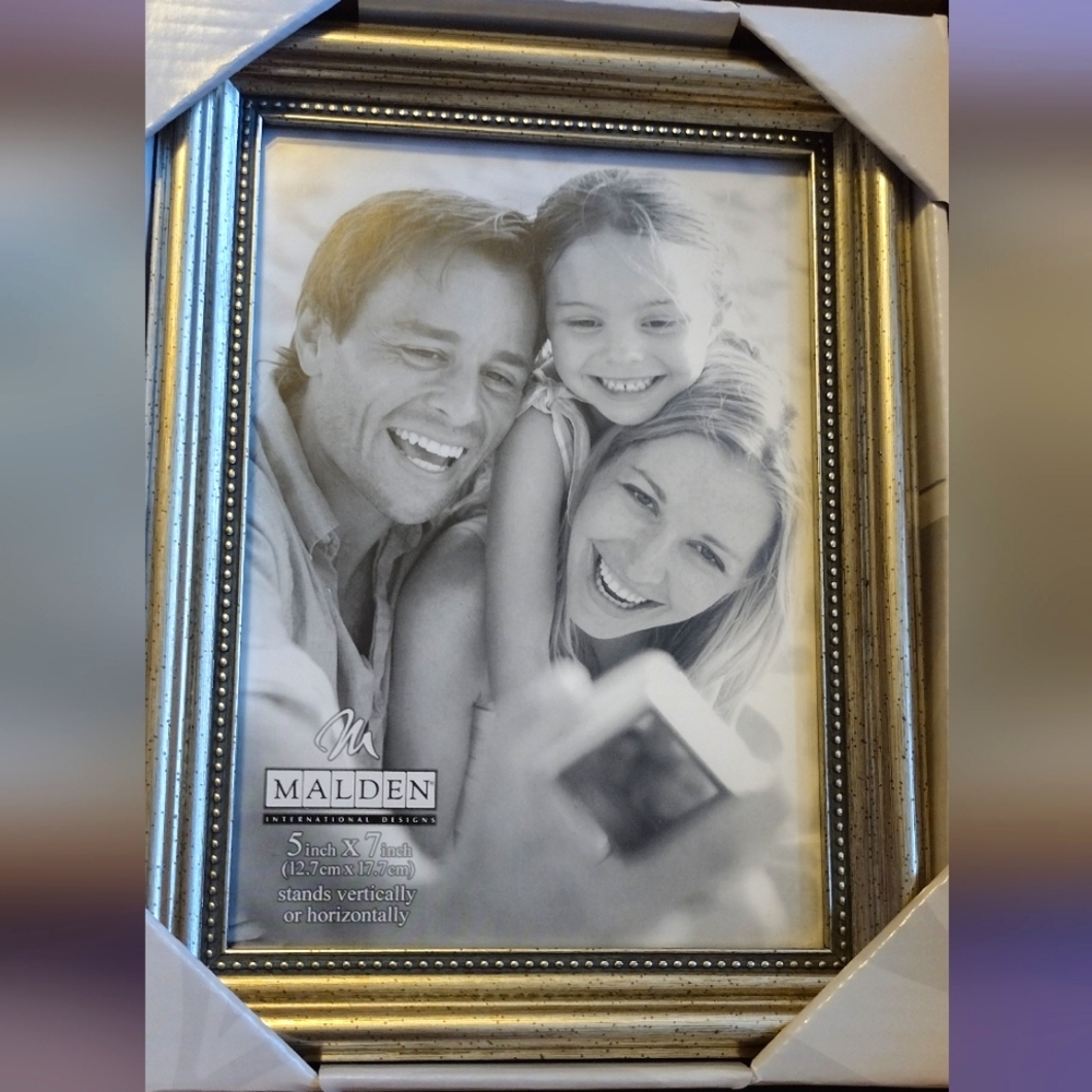 Malden Picture Frame with silver bead ridge border